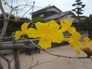 f0062462_21201943.jpg