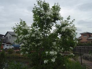 f0062462_21204096.jpg