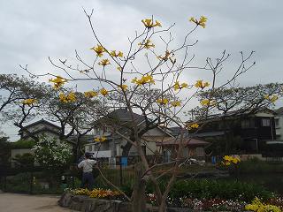 f0062462_2120553.jpg