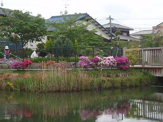 f0062462_21262228.jpg