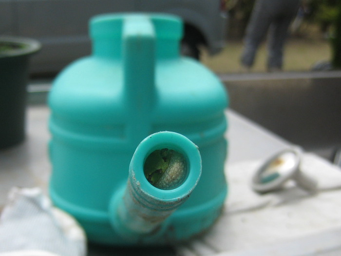 f0148762_21502333.jpg