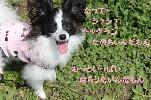 f0181462_9332948.jpg