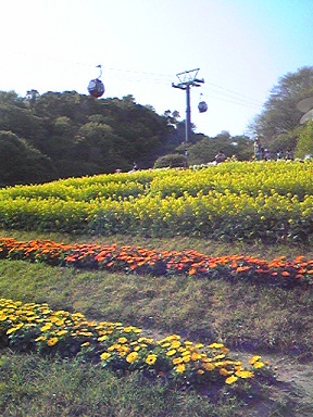 d0163670_16173358.jpg