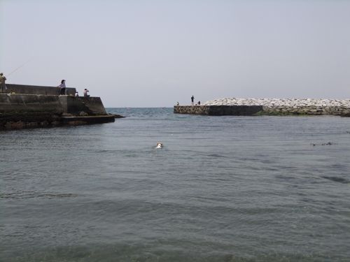 f0045872_10142130.jpg