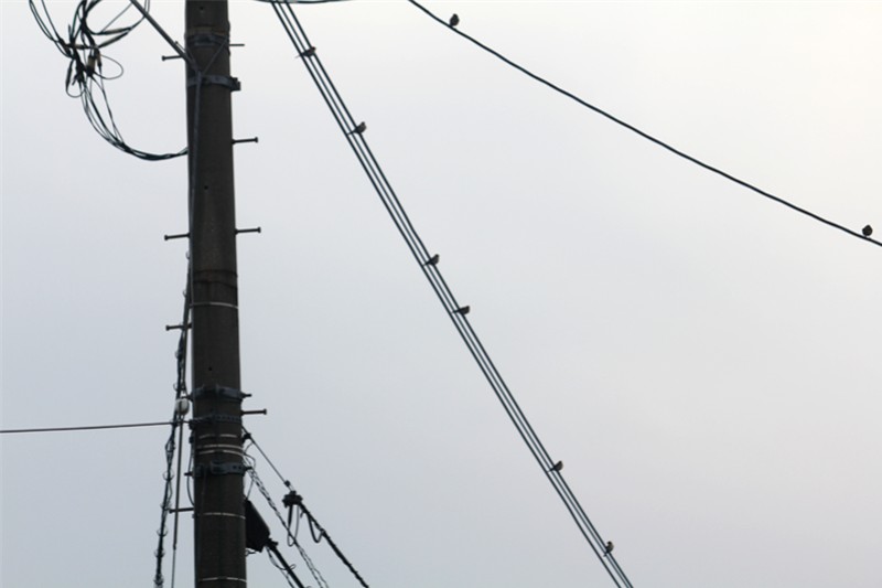 f0003174_14423486.jpg