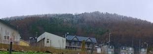 f0150377_1004890.jpg