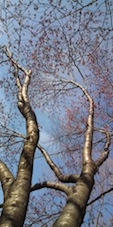 e0058280_19461786.jpg