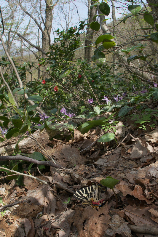 f0090680_14195044.jpg