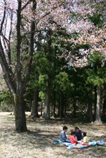 c0057781_16351844.jpg