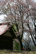 c0057781_16353171.jpg