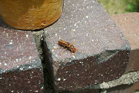 c0045882_2221330.jpg