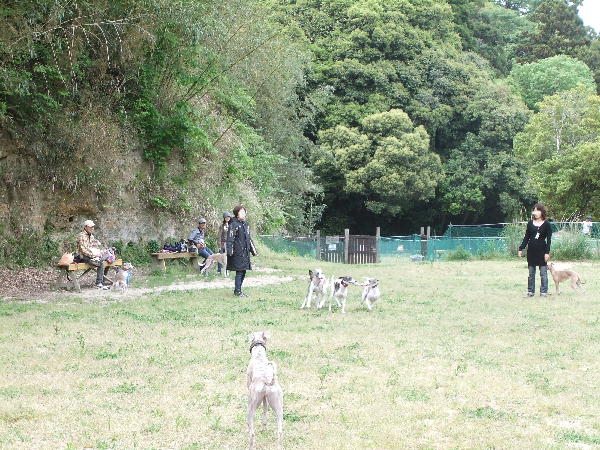 f0160583_2193974.jpg