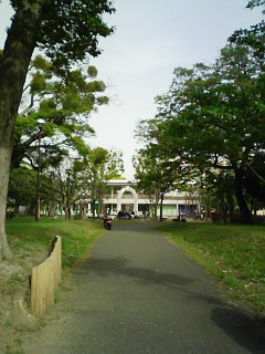 f0115787_19224687.jpg