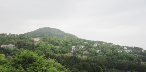 c0160488_141433100.jpg