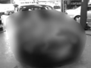 c0004193_22221875.jpg