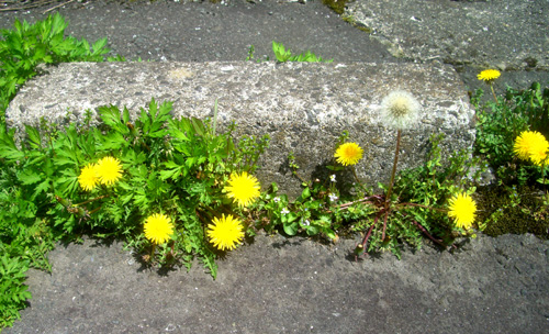 b0099994_14552830.jpg