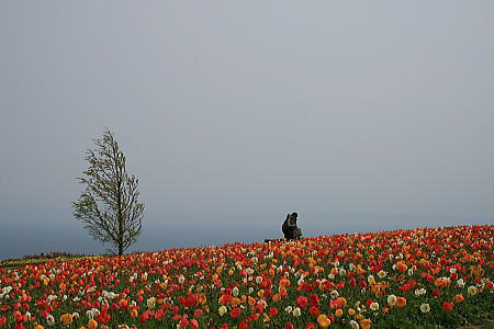 b0115497_17333483.jpg