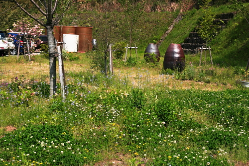 c0129498_16234093.jpg