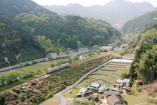 c0129498_16415683.jpg