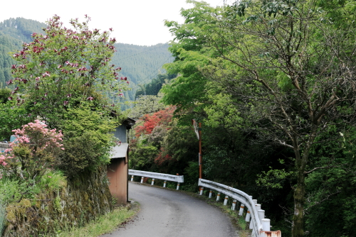 c0129498_1642438.jpg