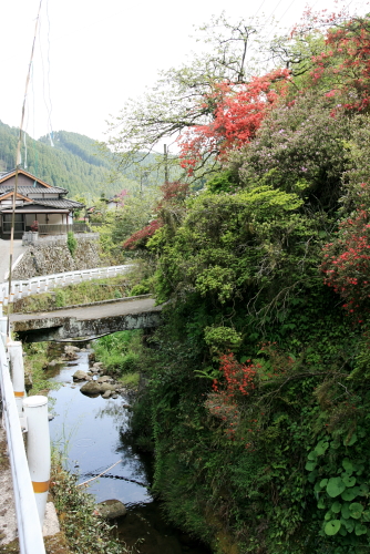 c0129498_1642856.jpg