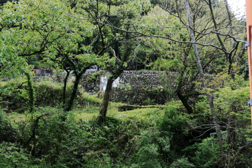 c0129498_1751448.jpg
