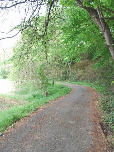 e0025300_115615.jpg