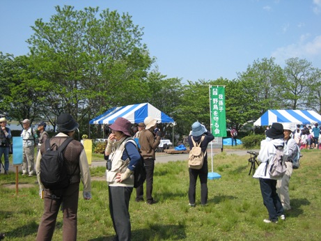 e0033301_1610392.jpg