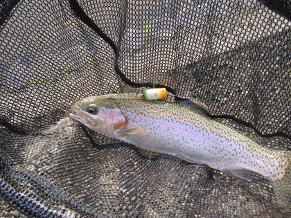c0023804_1446567.jpg