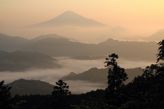 a0188405_18571747.jpg