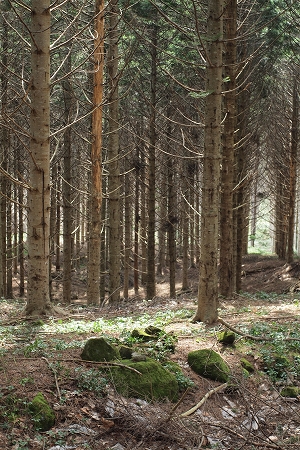 c0202705_20125294.jpg