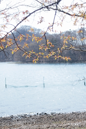 c0202705_20131227.jpg