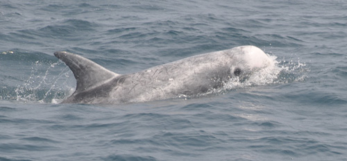 f0048405_1656264.jpg