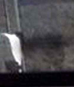 e0103408_16195625.jpg