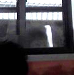 e0103408_16202920.jpg