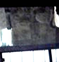e0103408_1664890.jpg