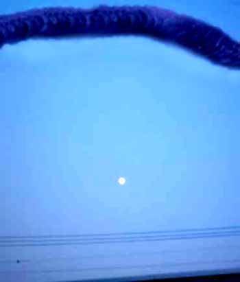 e0103408_2384891.jpg