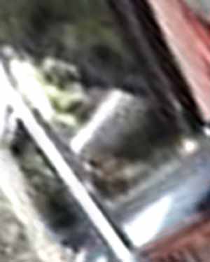 e0103408_275363.jpg