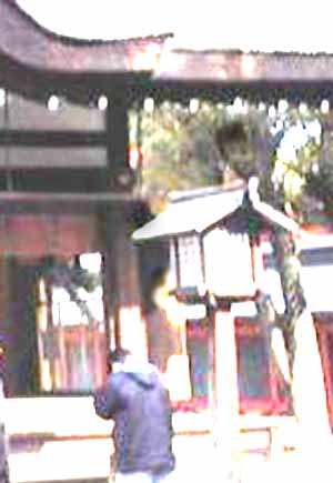 e0103408_294943.jpg