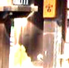 e0103408_29940.jpg
