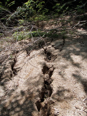 f0086008_222398.jpg