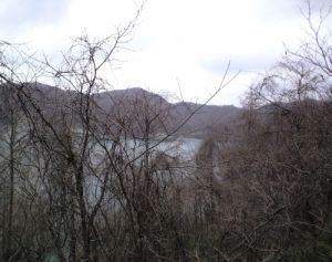 f0006509_2454050.jpg