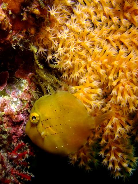 d0175710_18513558.jpg