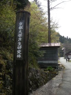 b0183911_22513699.jpg