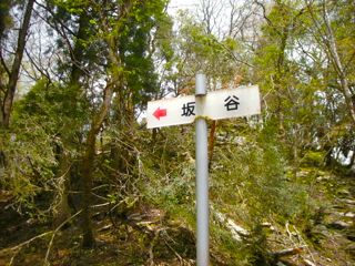 b0183911_231149.jpg