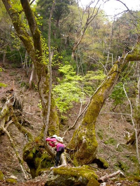 b0183911_23131618.jpg