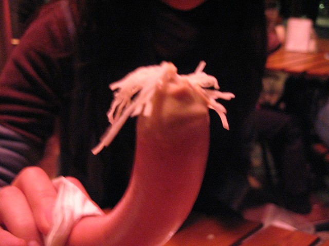 c0167813_18302426.jpg