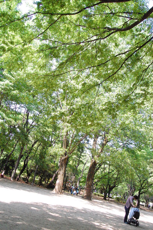 e0214513_2056665.jpg