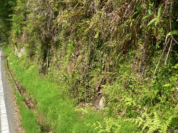 e0002314_20133371.jpg