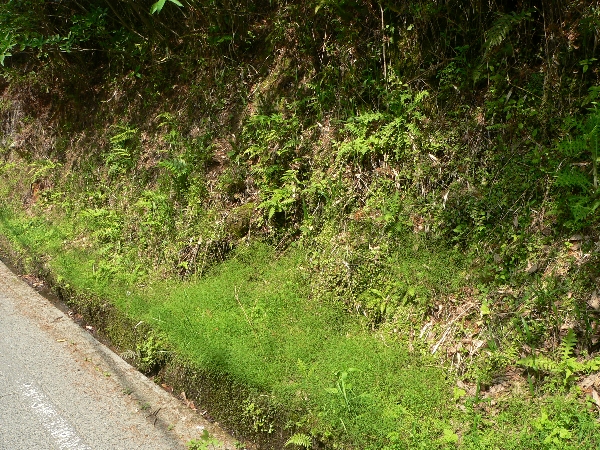e0002314_20134185.jpg